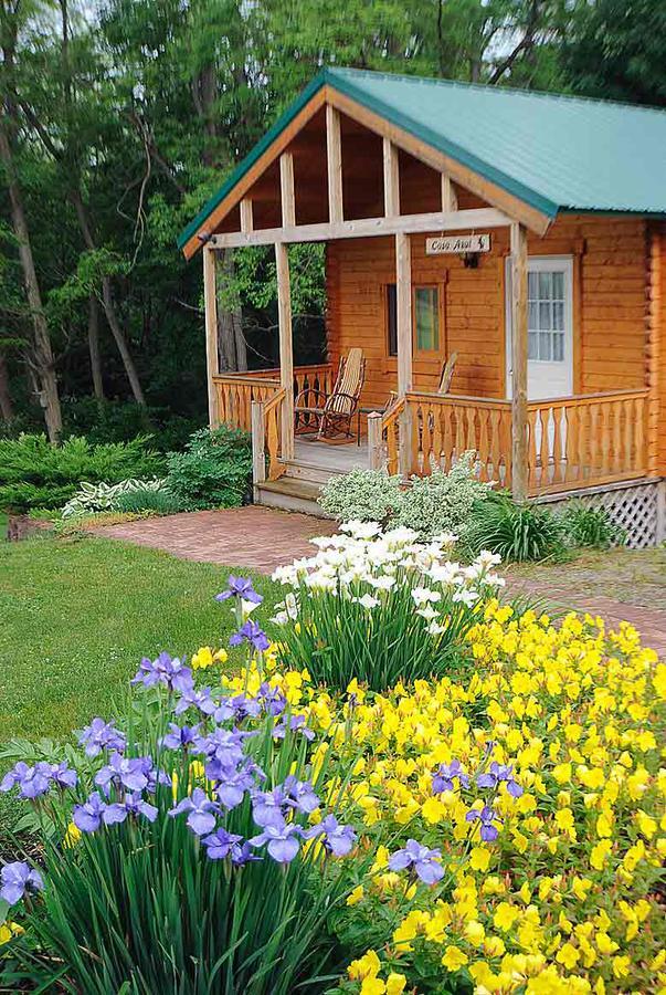 Los Gatos Bed & Breakfast Penn Yan Eksteriør bilde